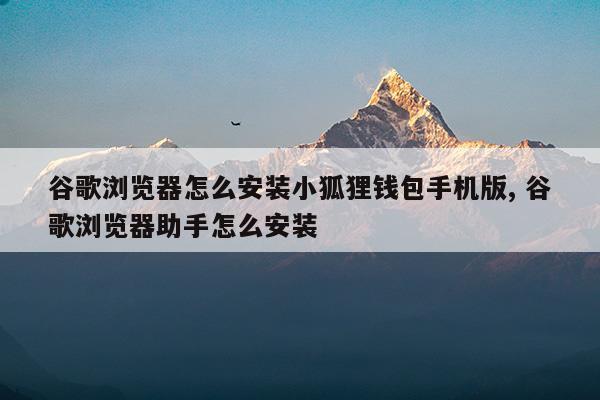 小狐狸钱包手机版教程-小狐狸钱包安卓使用教程