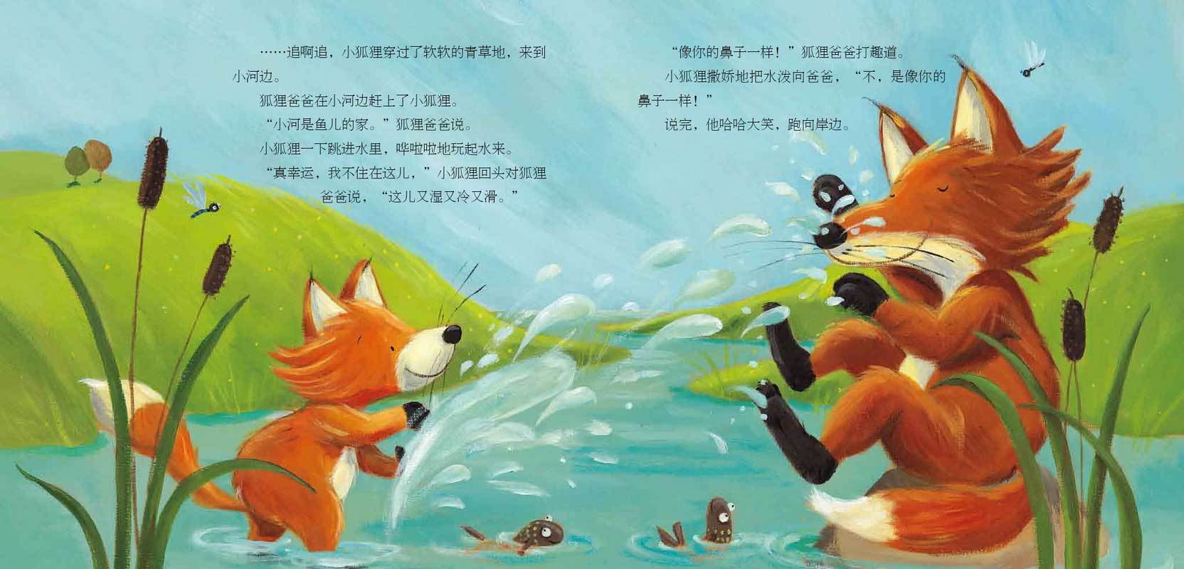 小狐狸的故事-玫瑰花和小狐狸的故事
