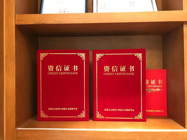 信用中国-信用中国行政处罚修复