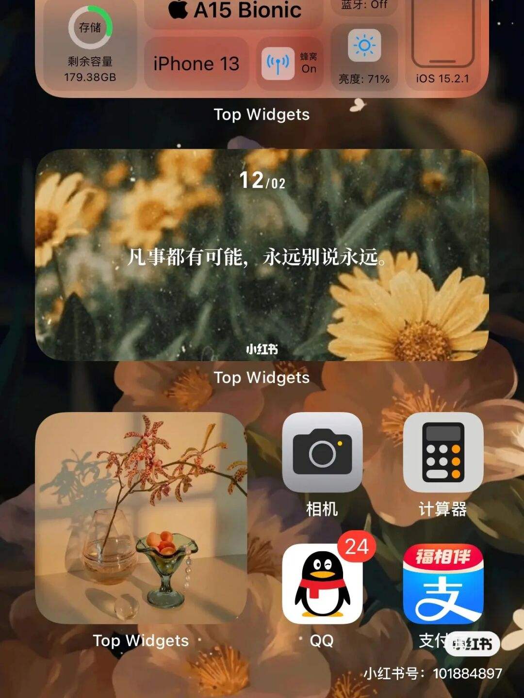 关于toptop官方下载安装苹果的信息