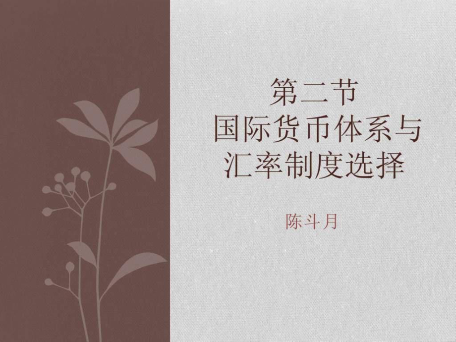 无单独法定货币制度-没有独立法偿货币的汇率制