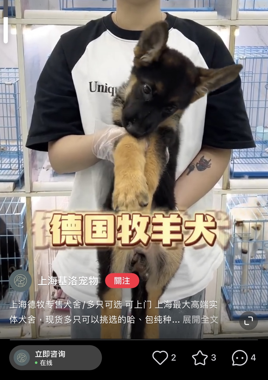 包含虚拟币被骗了能不能报案小红书的词条