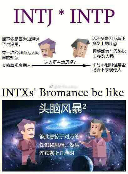 intp官网免费版、intp ti ne