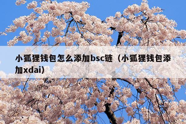 小狐狸钱包资金能找回来吗、小狐狸钱包资金能找回来吗知乎