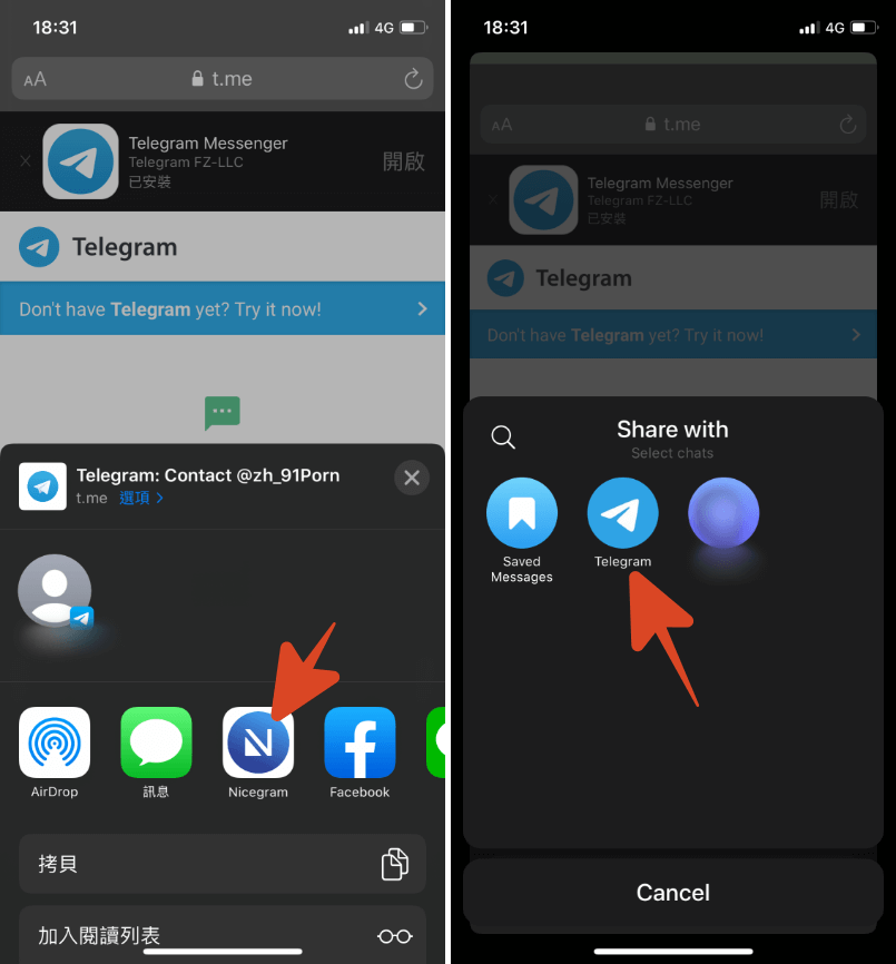 telegram分享、telegram怎么分享名片