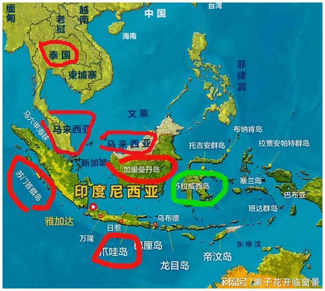 薄饼交易所是哪个国家的、薄饼交易所怎么用合约地址买币