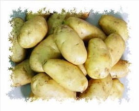 potato怎么提现、potatoapp怎么样