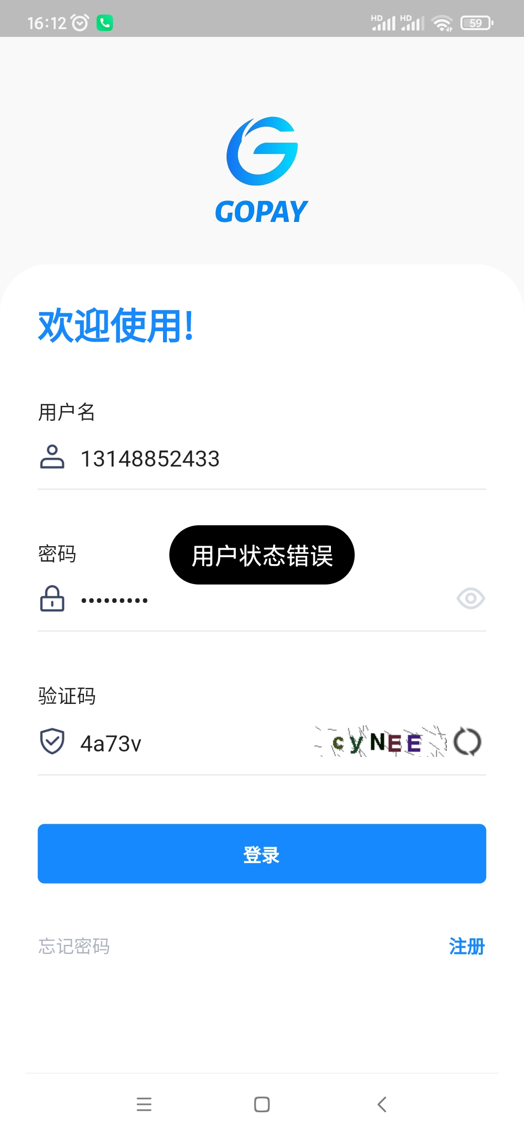 gopay支付平台注册、gopay钱包支付平台下载