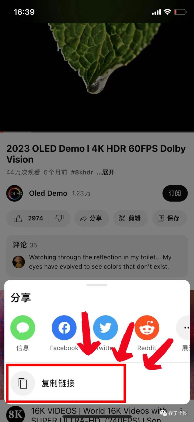 苹果手机怎么登陆youtube、苹果手机怎么登陆19216811