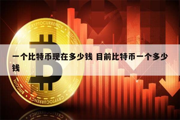 比特币最高的时候是多少钱一枚、比特币最高的时候是多少钱一枚pi币在那个国家可以易贷