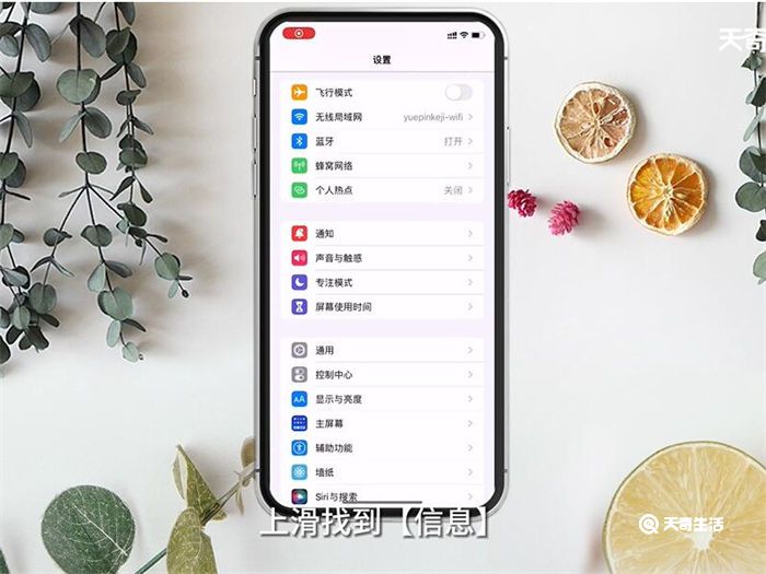 关于iPhone纸飞机收不到验证短信的信息
