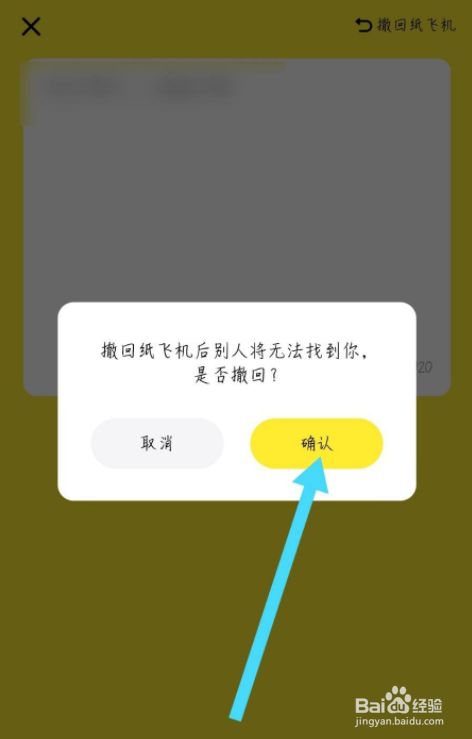 纸飞机软件怎么设置中文、纸飞机安装zh_cn语言包