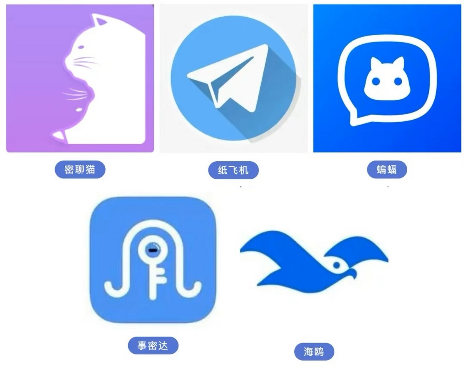 纸飞机telegeram官网版下载旧、telegeram官网入口tiktok