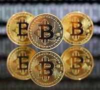 kishu币最新动态、kishu币最新消息网站
