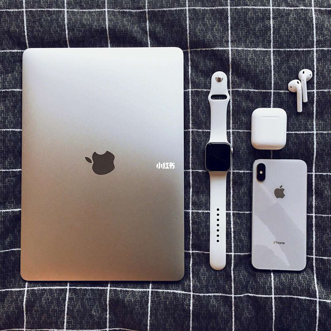 包含xr支持applepencil的词条
