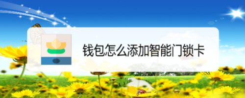 钱能钱包怎么玩,钱包app可靠吗