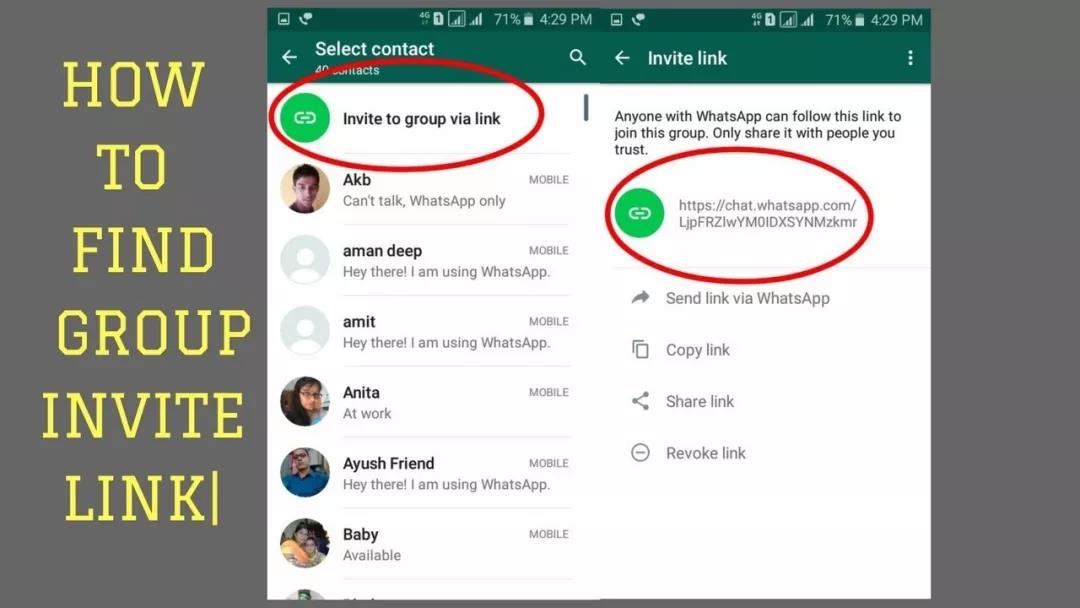 whatsapp官网中文版,whatsapp web download
