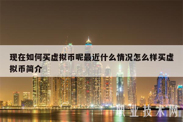 虚拟币是怎么回事,虚拟币是什么么赚钱的