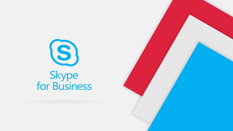 关于skypewebsite的信息