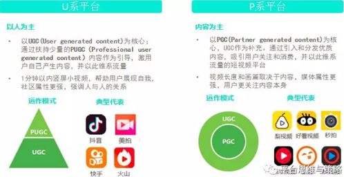 tp官方下载安卓最新版本,tplink手机app官方版
