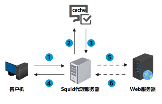 国外服务器代理ip,国外服务器代理ip加速器