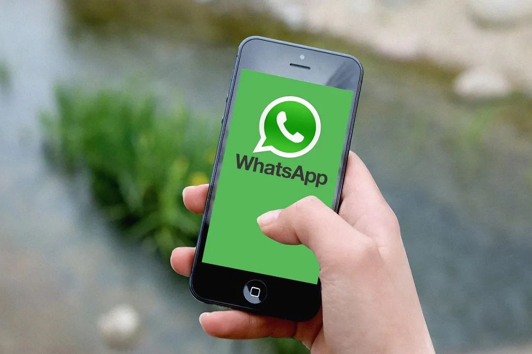 关于whatsapp中文叫什么中国境内有哪些社交软件可以用的信息