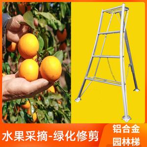果树梯子图片,果树梯子图片高清