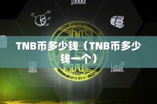 虚拟币tnb,虚拟币钱包app下载