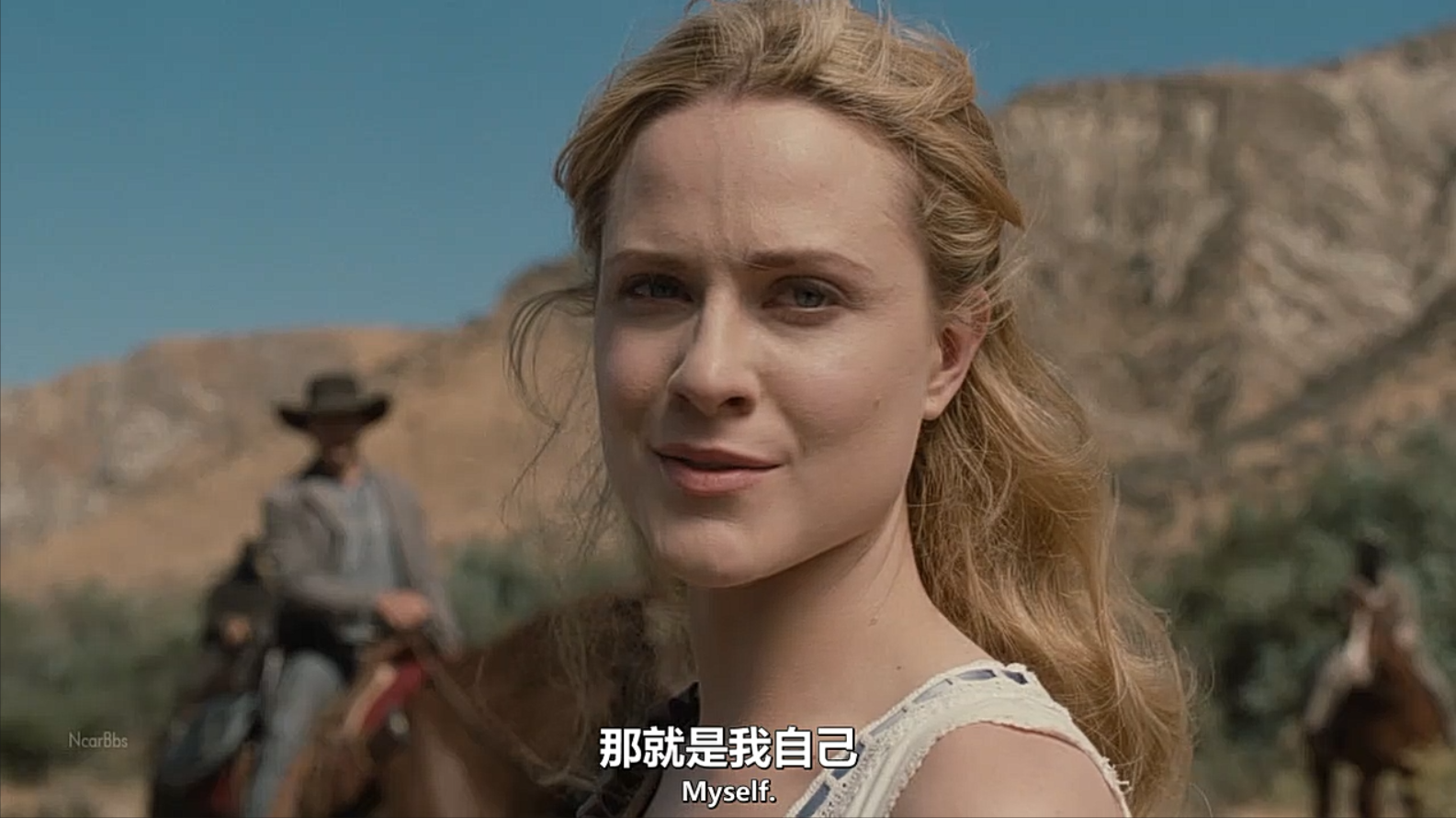西部世界梯子好用吗,西部世界梯子好用吗值得买吗