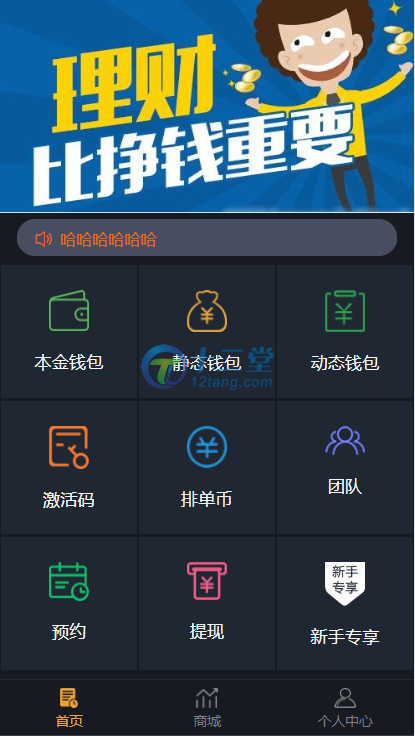 虚拟币钱包原理,虚拟币钱包的选择  详解!