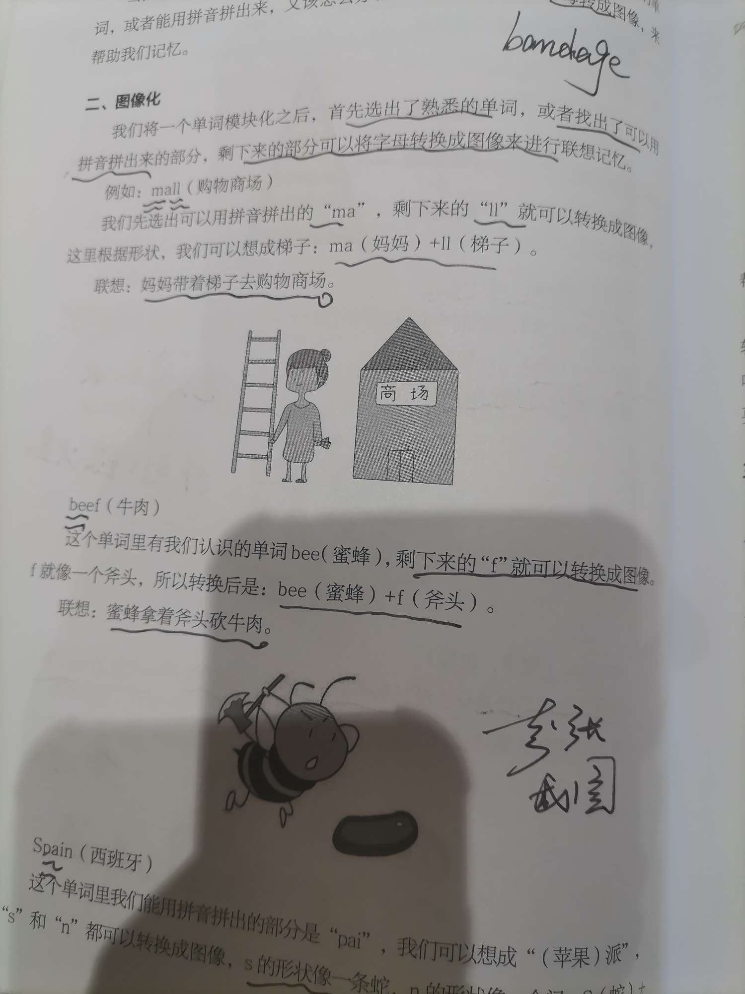 梯子的拼音,梯子的拼音怎么写