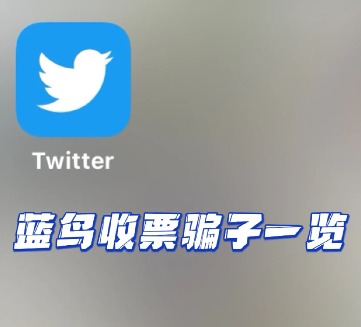 蓝鸟twitter官网下载,蓝鸟twitter官网下载2023