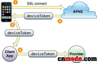 苹果怎么下token钱包,苹果如何下载imtoken钱包