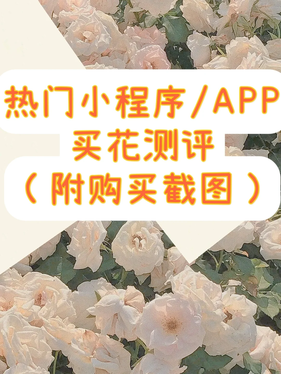 纸飞机小程序购买,纸飞机app怎么在国内使用