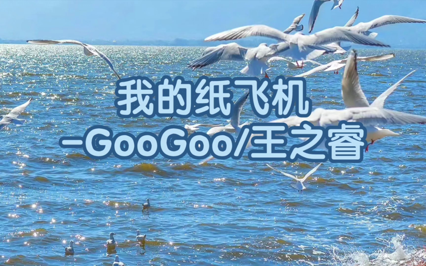 电影纸飞机全集,电影纸飞机免费观看