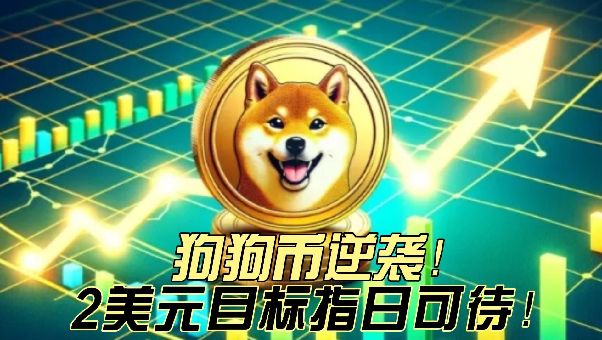关于狗狗币能涨到30元人民币的信息