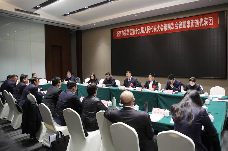 政府工作报告审议范文,2021年政府工作报告审议发言