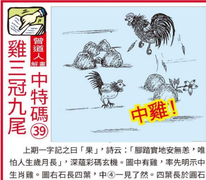 六部玄机码中码打一生肖数字,六部玄机码中码,金银财宝随手来