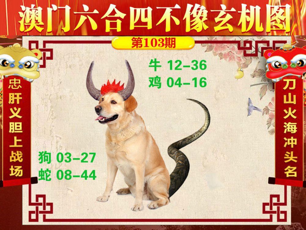四字玄机最准确生肖,四字中特玄机2016
