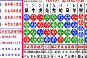 6合玄机最准确的生肖数字,6合玄机最准确的生肖数字是什么