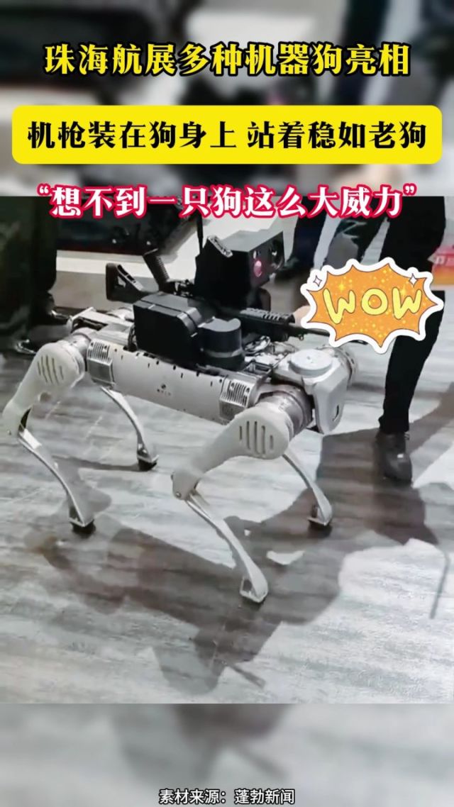 机器狗的技能值已经拉满了的简单介绍