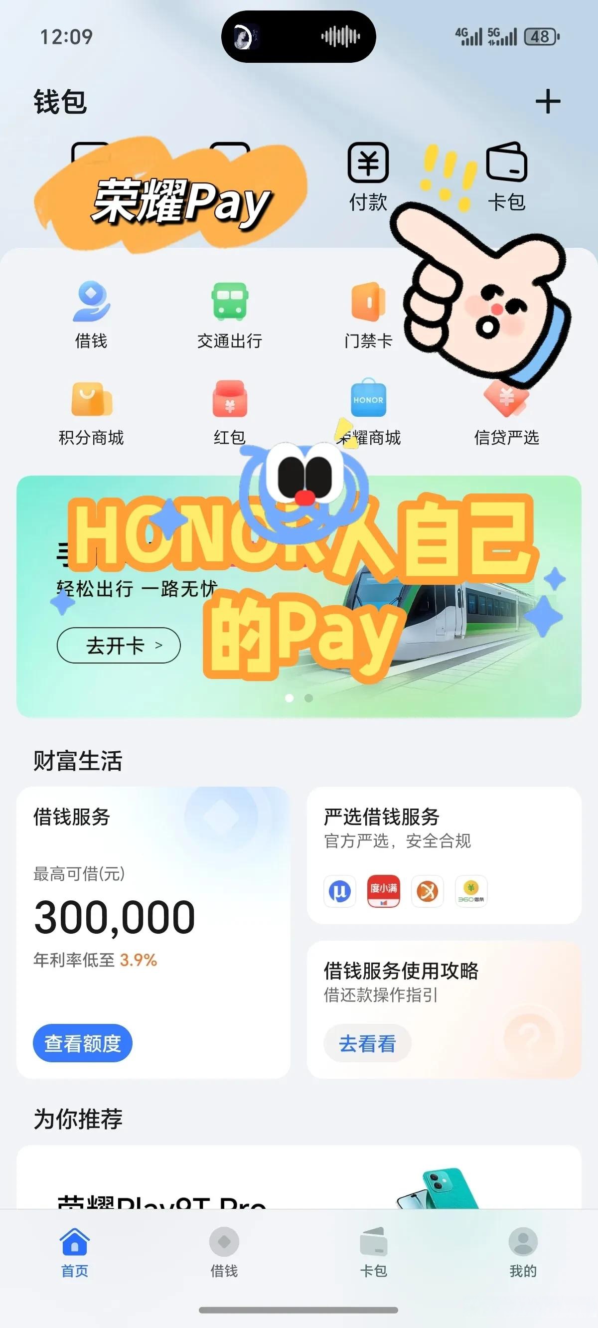 okpay支付平台,okpay支付平台注册