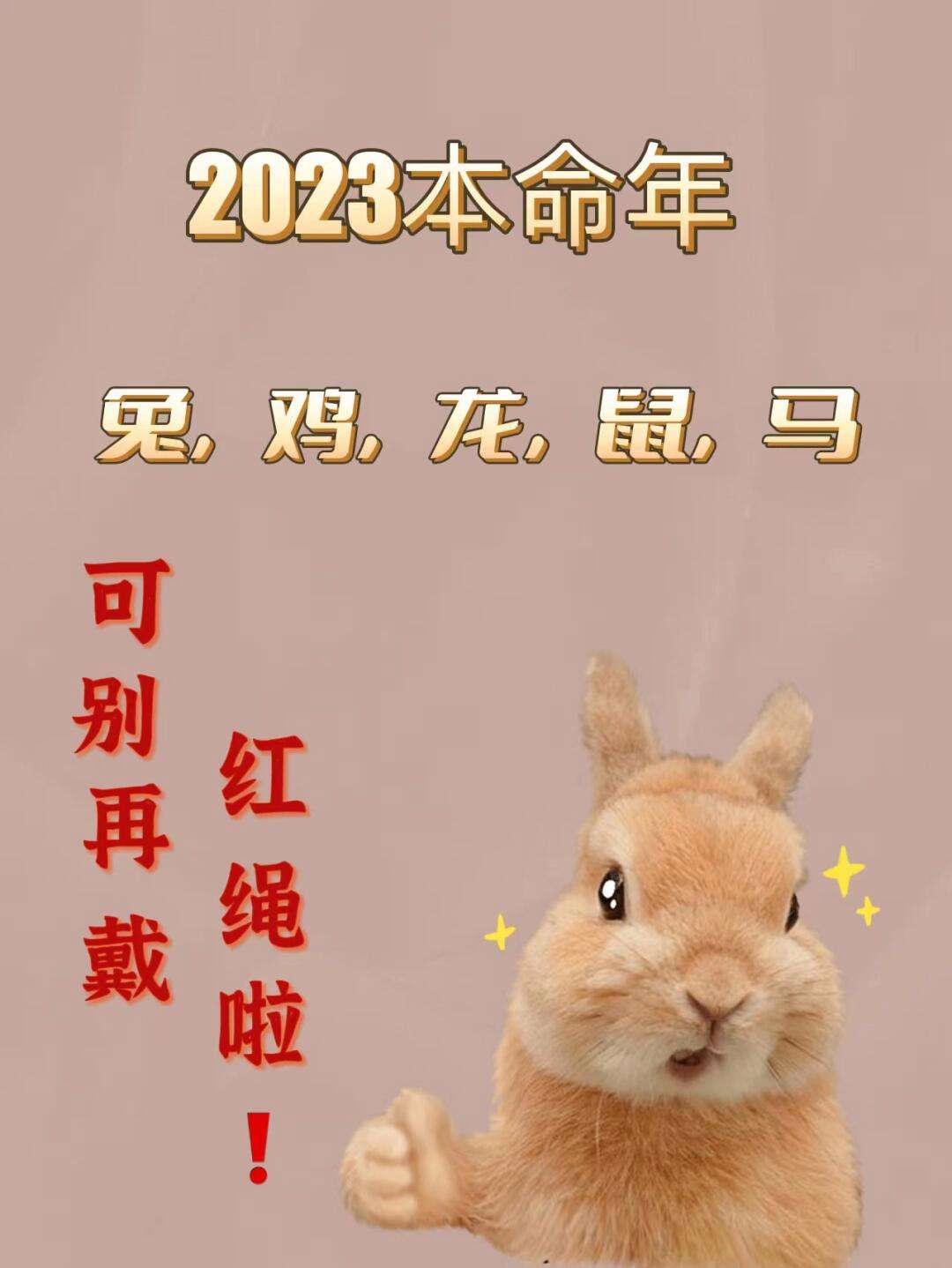 今期六字出玄机最佳生肖,今期出码二六九指什么生肖
