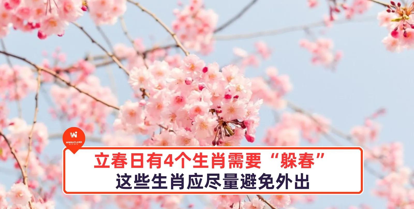 立春打一最佳生肖动物,立春打一生肖是什么动物