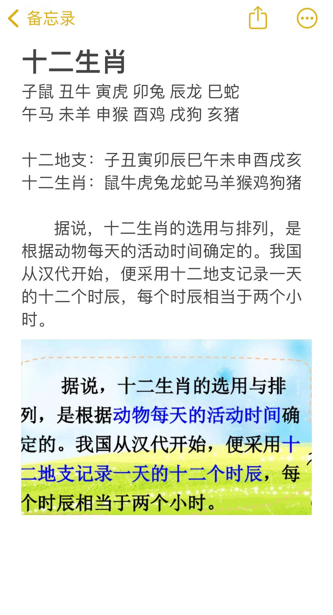 今期玄机四六点猜一生肖,四六生肖有玄机指的是什么