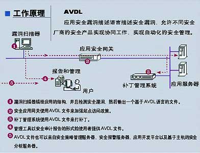 梯子v,梯子van